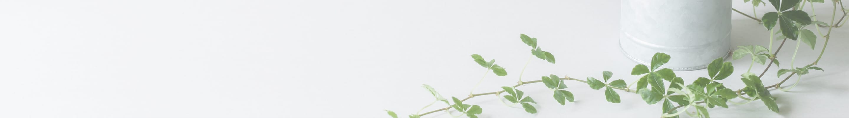 ファーストビュー